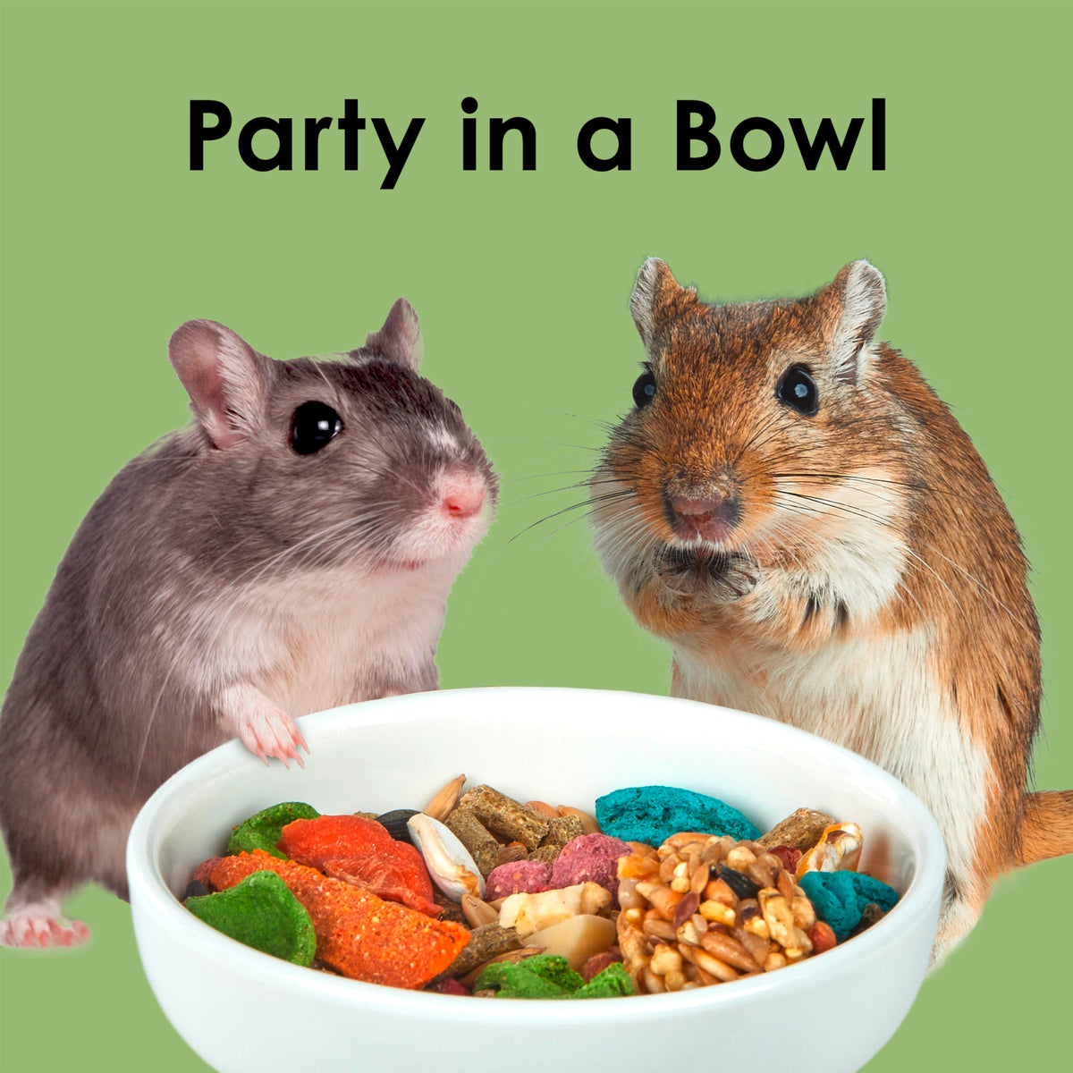 Fiesta Hamster & Gerbil Food (4.5 Pound (Pack of 1))