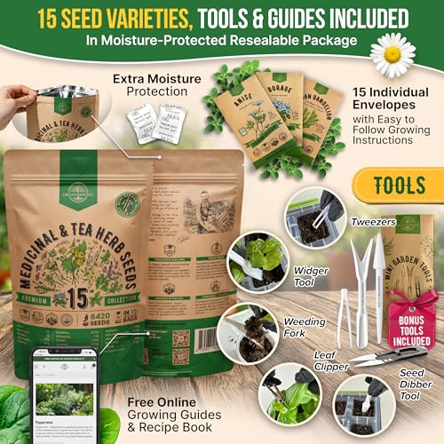 15 Medicinal & Tea Herb Seeds Variety Pack 6