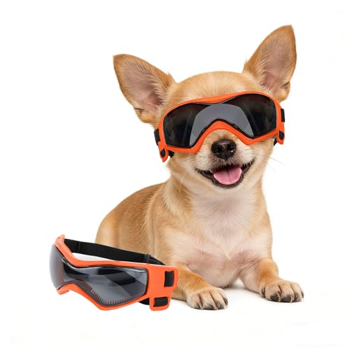 XS Dog Goggles for Extra Small Breed UV (X-Small / Orange)