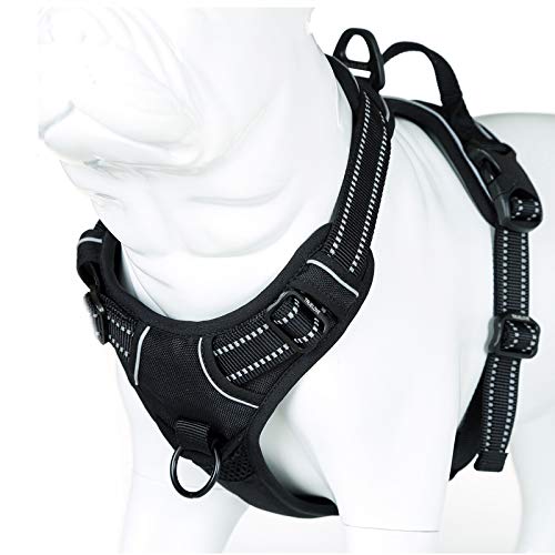 Truelove No Pull Dog Harness with Easy Control Handle and 2 Leash Attachments (Large / Black)