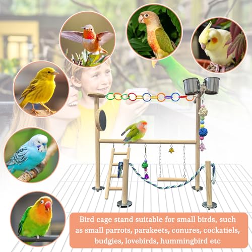 Small Bird Playground Natural Wood for Top of Cage Bird Perch Stand for Parrots Play Gym Toys for Small Birds Parrot Cockatiel Love Birds Budgie