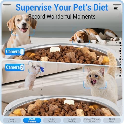 Automatic Cat Feeder with Two 1080P Camera for 2 Cats (White-4)