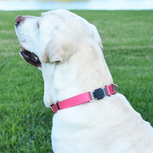 Biothane Waterproof Dog Collar with Herm Sprenger Stainless Steel Quick Release Buckle (W 3/4" x L 12"-19" / Passionfruit Pink)