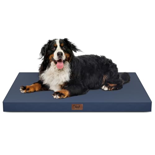 Outdoor Extra Large Dog Bed XXL for Giant Breed Dogs (Navy / 47.0"L x 29.0"W x 3.5"Th)