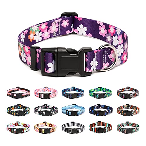 Adjustable Dog Collar (Small / Floral Pink)