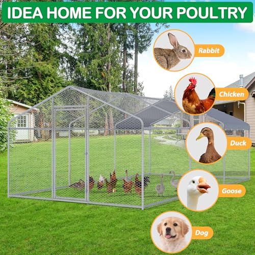 Large Metal Chicken Coop (227.0"L x 107.5"W x 77.0"H)