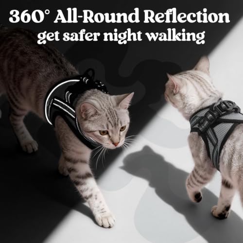 Cat Harness and Leash Set (S / Grey)