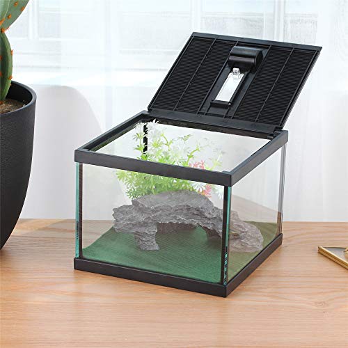 Glass Lizard Tank (L7.8 x W7.8 x H5.9 inches / Black)