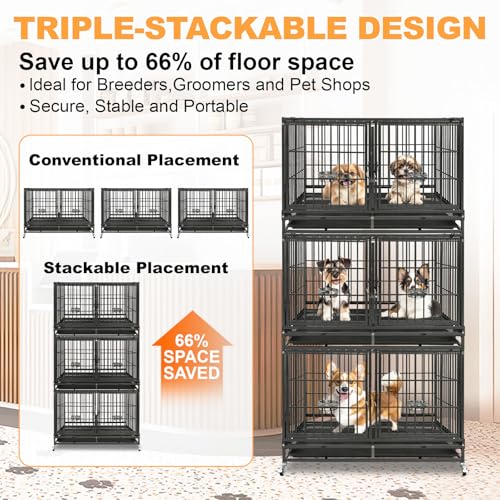43" Double Dog Crate (43.0"L x 28.0"W x 29.0"H)