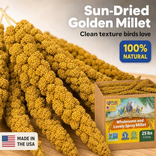 25 LB Wholesome Spray Millet for Birds (25 Pound (Pack of 1))