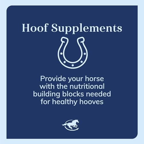SmartEquine Horse Biotin Powder