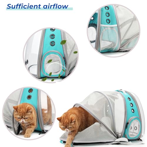 Expandable Bubble Cat Carrier Backpack (Back Expandable-Green)