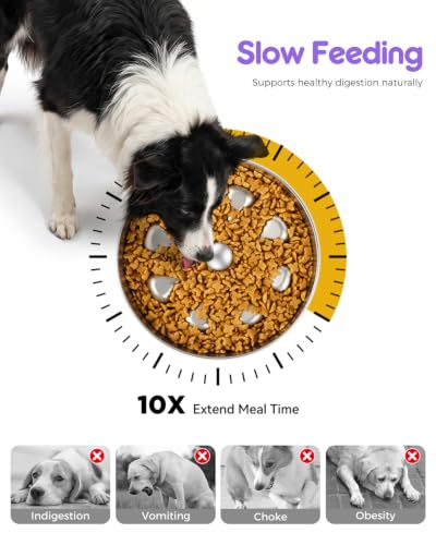 2 Pack Slow Feeder Dog Bowls (Large-2Pack)