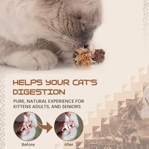 Catnip Silvervine Sticks (Silvervine)