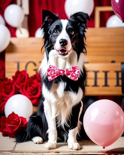 10 Pack Holiday Large Dog Bowties Sliding on Collar (M/L)