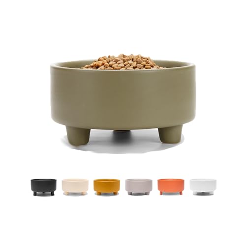 Uplift Elevated Ceramic Dog Bowl (Medium / Olive)