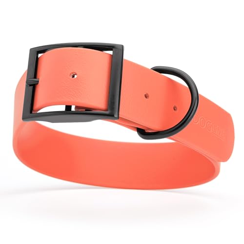 Biothane Waterproof Dog Collar Strong Coated Nylon Webbing with Black Hardware Odor