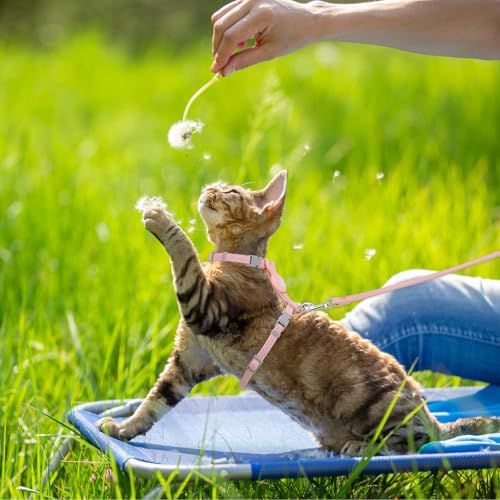 Cat Harness and Leash Set (Rabbit)
