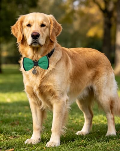 5 Pack Mixed Color Dog Bowties for Large Dogs Slide on Collar (M/L)