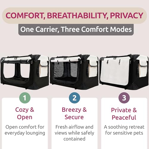 Cat & Dog Carrier (Black / Medium)
