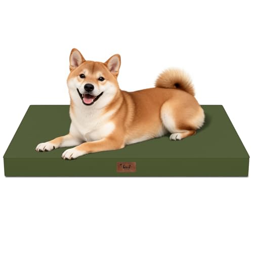 Outdoor Waterproof Orthopedic Dog Bed for Medium Size Dogs (Amy Green / 35.0"L x 22.0"W x 3.0"Th)