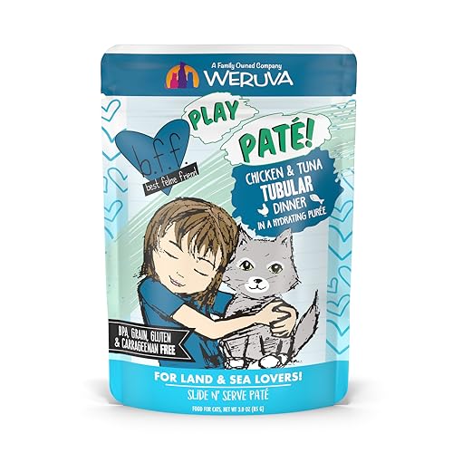 B.F.F. Play Best Feline Friend Paté Lovers (3 Ounce (Pack of 12))