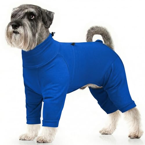 Recovery Suit for Medium Dogs (Blue / M)