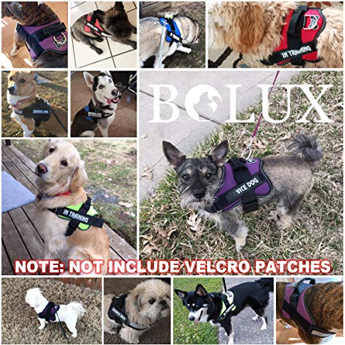 Dog Harness No (X-Large (Pack of 1) / Black)