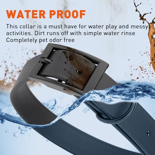 Biothane Waterproof Dog Collar Strong Coated Nylon Webbing with Black Hardware Odor (W1" x L18-22" / Black)