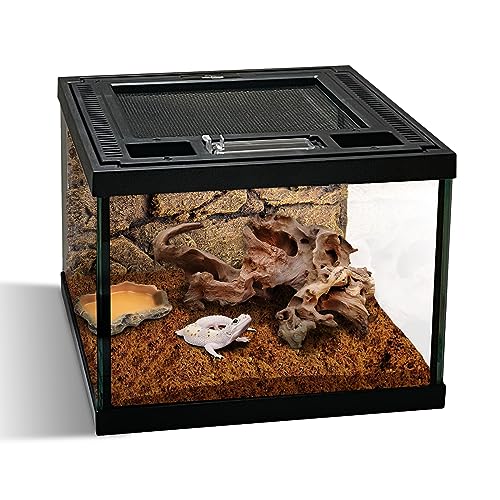 Mini Reptile Glass Terrarium Tank 8 * 8 * 6" Full View (8*8*6inch)