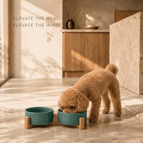 Ceramic Dog and Cat Bowl Set with Wooden Stand (1.7 cups / Light Green × 2)