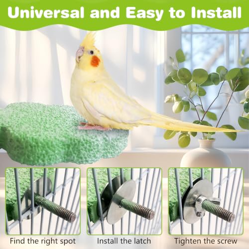 3PCS Bird Beak Grinding Stone Resin Bird Perch Stand Grinding Claw Birds Cage Perch Parrot Climbing Chewing Toys Parakeet Cage Accessories for Budgies Cockatiels Conures