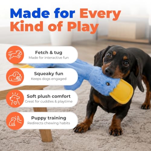 Interactive Squeaky Dog Toy (Crinkle Duck (Blue) / Large)
