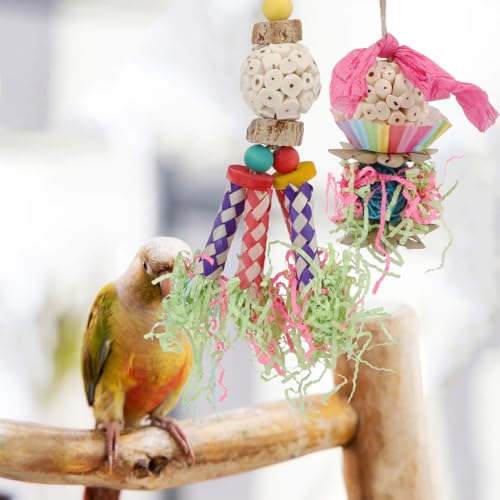 Bird Toys Colorful Shredding Crinkles Foraging Toys Natural Sola Ball for Parrots Cockatiels Conures Parakeets Budgies Senegal