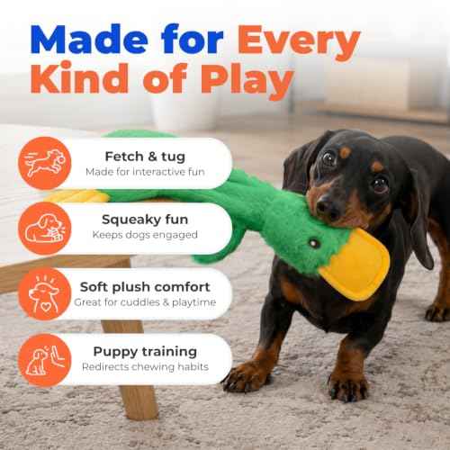 Interactive Squeaky Dog Toy (aCrinkle Duck (Light Green) / Large)