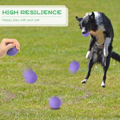 24 Pieces Rubber Dog Tennis Balls for Dog Colorful Catching Pet Balls for Fetch Training 2.4 Inch Interactive Bounce and Floatable Toy for Park Beach
