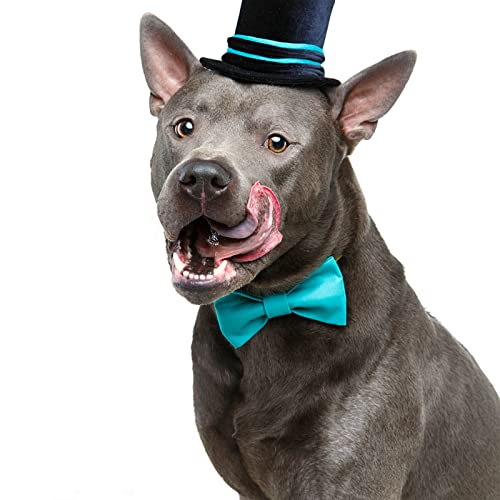 Dog Collar Bowties (Large)