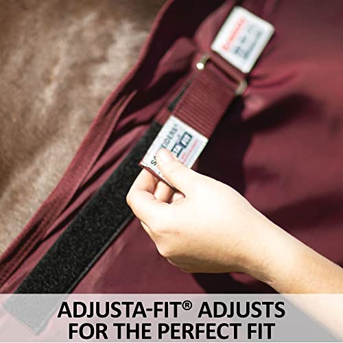 Dura Nylon Horse Stable Sheet (Horse Size 80 / Cutback | Closed Front | Legstrap / Red)