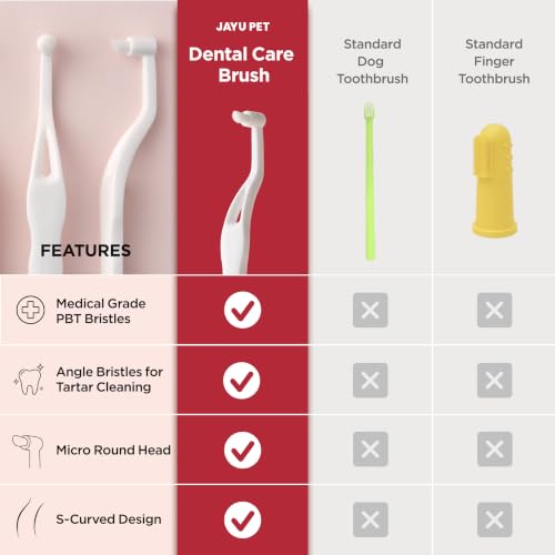 Dental Care Brush with Edge Bristles 1ea (Edge Bristles / 1 Count (Pack of 1))