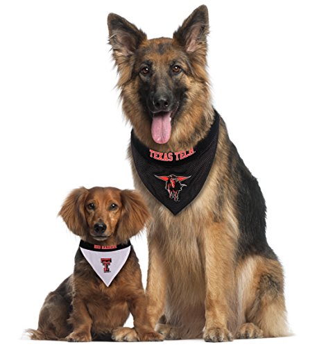 Collegiate Pet Accessories (Small/Medium / Texas Tech Red Raiders)