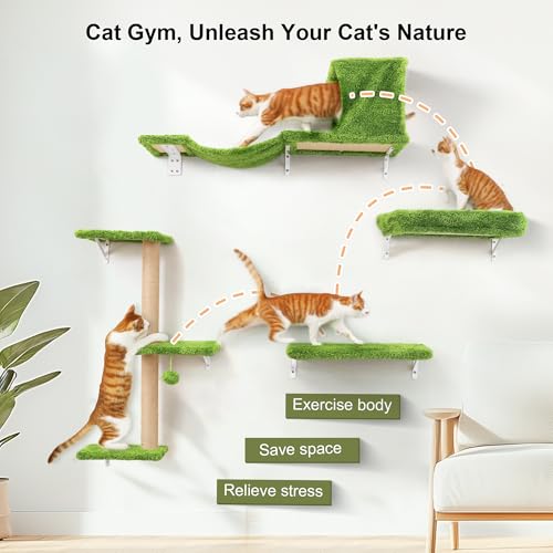 Cat Wall Shelves (Green)