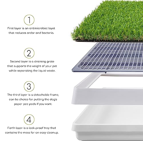 Dog Grass Pad with Tray (Dogs Potty)