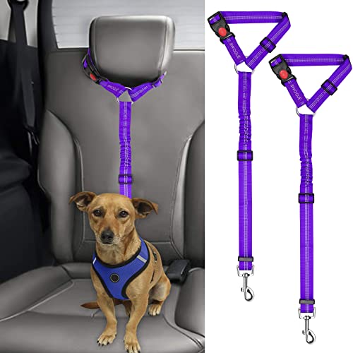 2 Pack Dog Seat Belt for Car (Purple)