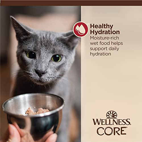 CORE Tiny Tasters Minced Adult Wet Cat Food (1.75 Ounce (Pack of 12))