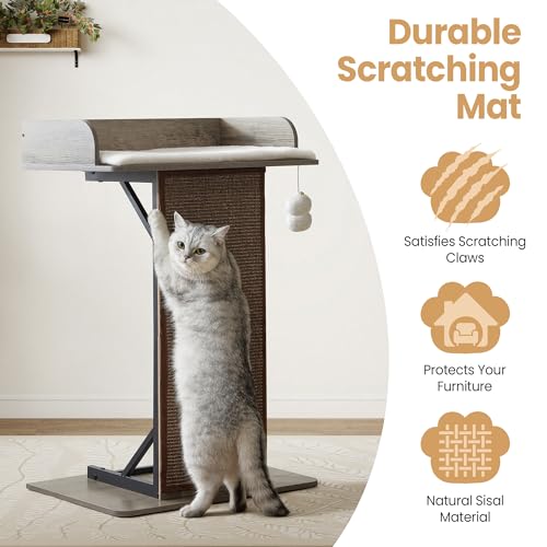 Modern Wood Cat Tree Tower for Indoor Large Adult Cats with Big Perch Bed (Greige1 / 33.8 Inches)