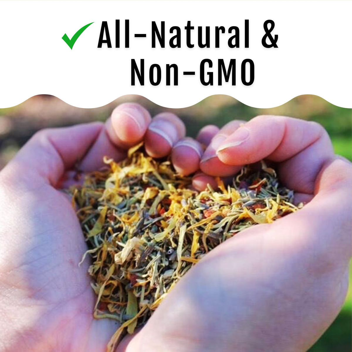 Herbs Supplement for Chicken Food Natural Poultry Feed (20 Pound (Pack of 1))