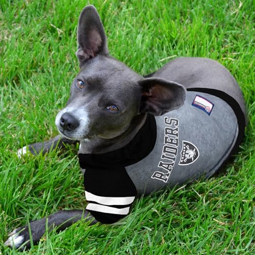 Raiders Hoodie Tee Shirt (X-Small / Oakland Raiders)