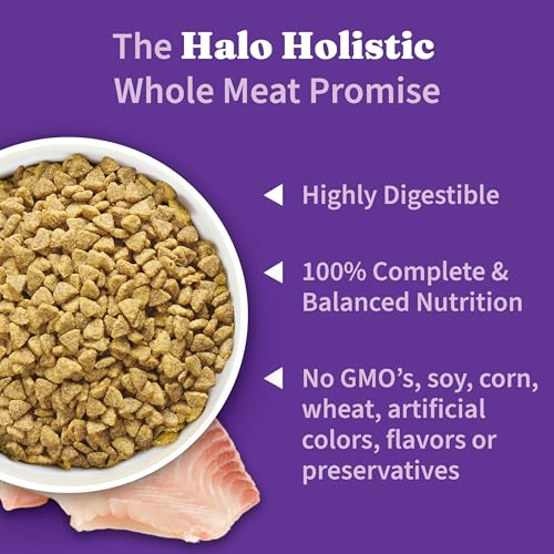 Holistic Dry Cat Food