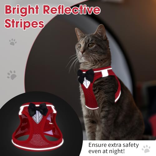 Cat Vest Harness and Leash Set (Red / XS)