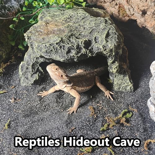 Reptile Hideout Rock